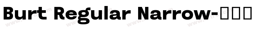 Burt Regular Narrow字体转换